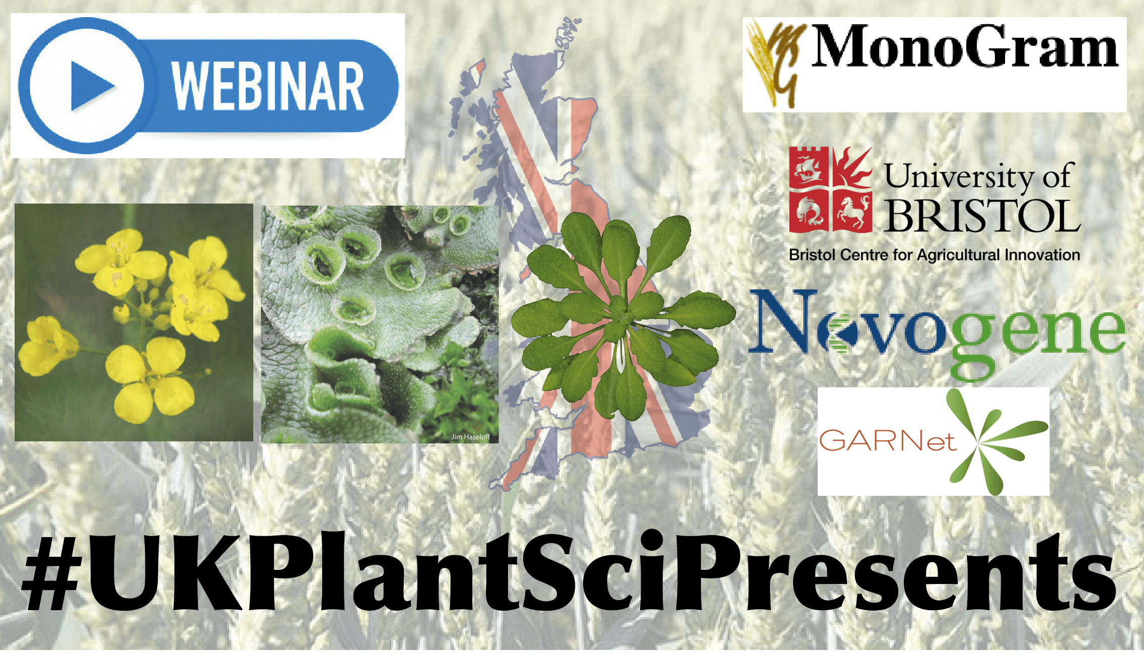 UkPlantSciWebinar Logo A